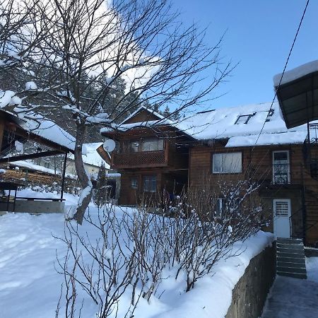 Під Лісом У Гіда Villa Jaremcse Kültér fotó