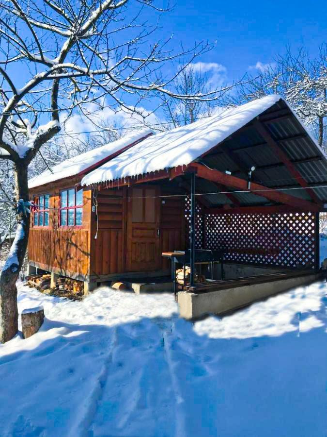 Під Лісом У Гіда Villa Jaremcse Kültér fotó